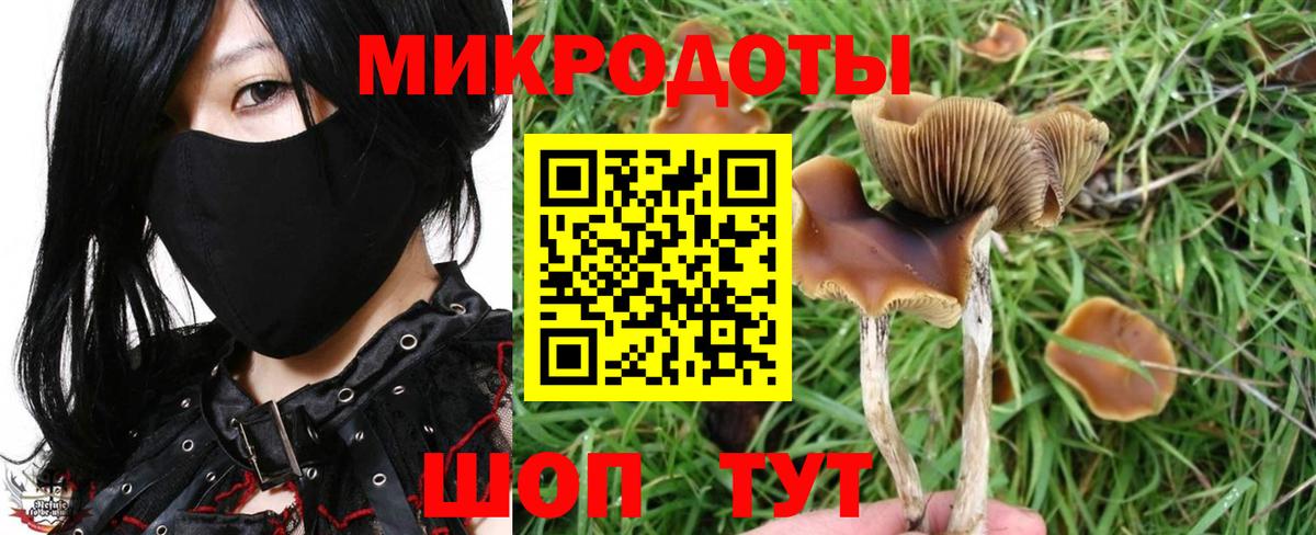 Псилоцибиновые грибы мухоморы  Вход с VPN  Протвино 