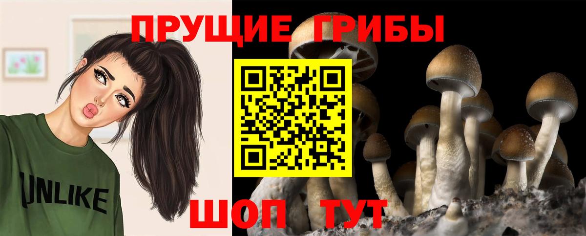 Галлюциногенные грибы прущие грибы Протвино