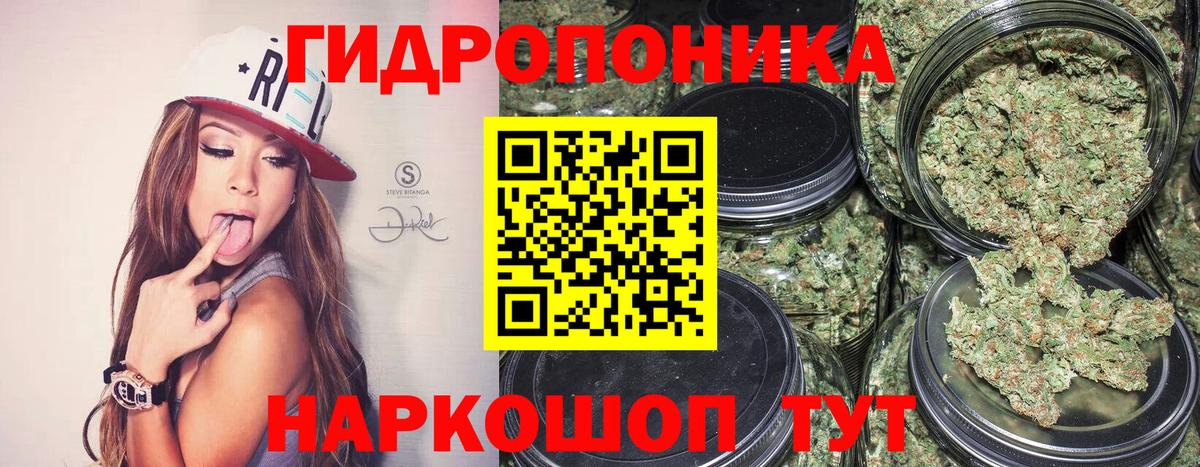 Бошки марихуана Ganja  Канабис индика  Вход с VPN  Шишки марихуана White Widow  Протвино 